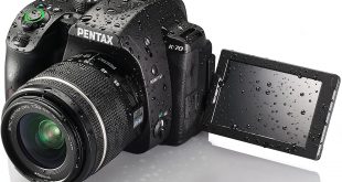 Top Famous Digital Camera Brands In The World: 7 Names You Should Consider